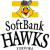6a6ea95f53760.png
